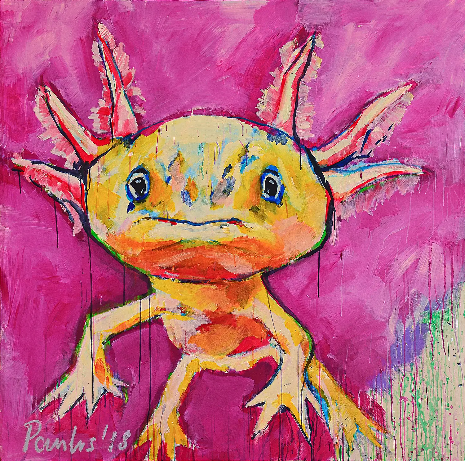 Axolotl, 2018